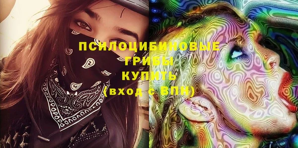 а пвп мука Бородино